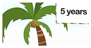 Cómo hacer crecer un árbol de coco 10 pasos (con fotos)