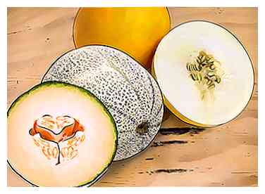 Conseils d'experts sur la culture du cantaloup