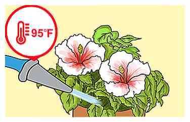 Hibiscus buiten groeien 13 stappen (met afbeeldingen)