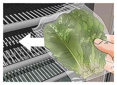 Hoe Romaine Lettuce te oogsten 11 stappen (met afbeeldingen)