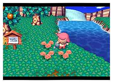 Comment avoir une belle communauté dans Animal Crossing 15 étapes