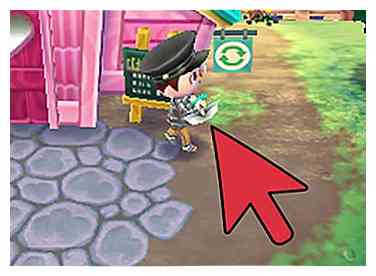 Comment avoir une ville parfaite à Animal Crossing (avec des photos)