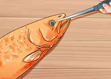3 måder at menneskeligt dræbe en fisk