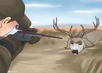 Sådan jager Mule Deer 13 trin (med billeder)