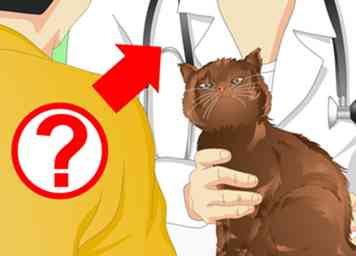 Hoe te weten of uw kat nog een kitten is 7 stappen (met afbeeldingen)