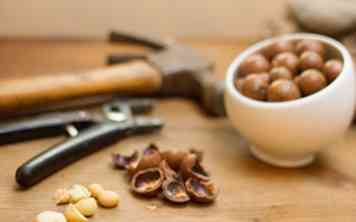Comment casser les noix de macadamia 10 étapes (avec photos)