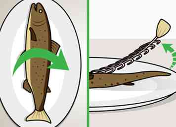 3 einfache Möglichkeiten, eine Forelle zu debonen (mit Bildern)