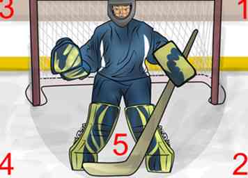 Cómo hacer que una mariposa ahorre en hockey sobre hielo 15 pasos