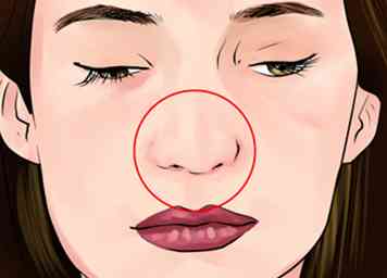3 manieren om uw neus kleiner te laten lijken