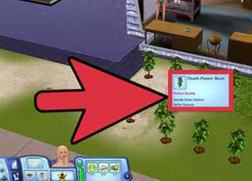 Hoe je je Sims onsterfelijk kunt maken in de stappen 3 7 van de Sims