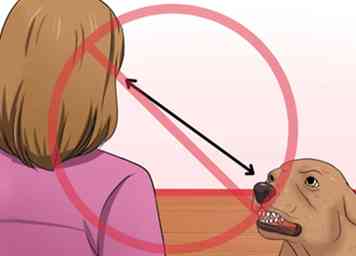 Veterinær-godkendt rådgivning om, hvordan man laver en hund Stop Biting