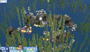 Duikspots verplaatsen en plaatsen in andere werelden in Sims 3 Eilandparadijs