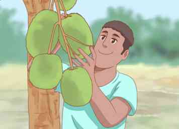 Cómo plantar Jackfruit (con fotos)