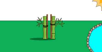 Sådan Plant Moso Bambusfrø 11 trin (med billeder)