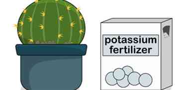 3 måder at dyrke Golden Barrel Cactus