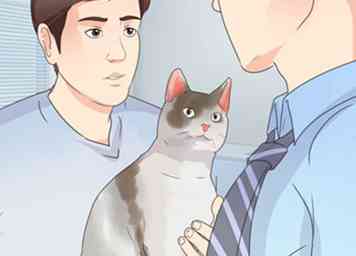 3 façons de prévenir les boules de poils de chat