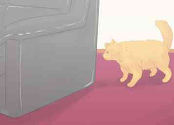 3 måder at forhindre katte i at urinere på tæppe