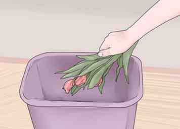 Comment récolter les tulipes 12 étapes (avec photos)