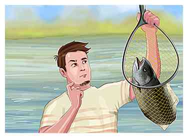 Comment voler des poissons 14 étapes (avec photos)