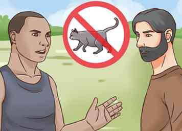 3 maneras de ayudar a un gato de interior a ser atormentado por un gato al aire libre