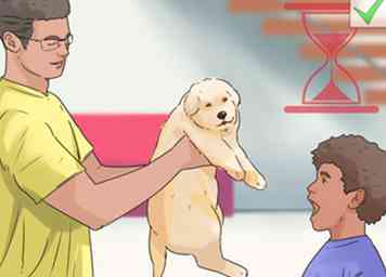 3 manieren om kinderen te helpen die de dood van hun hond teisteren