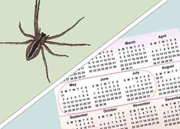 3 måder at identificere en Nursery Web Spider på