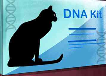 Comment identifier un chat tonkinois 13 étapes (avec photos)