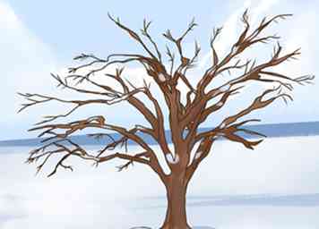 Die besten Möglichkeiten, einen Ulmenbaum zu identifizieren