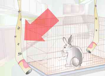 3 maneras de mantener a las moscas fuera de una jaula para mascotas en interiores