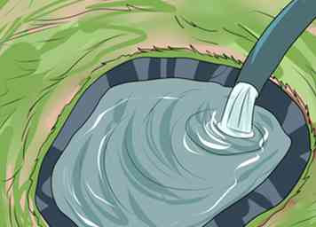 4 måder at holde din dam ren