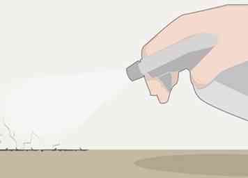 Sådan dræber du myrer i dit hus 11 trin (med billeder)