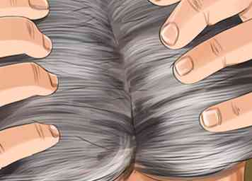 Wie man silbernes Haar pflegt - in 15 Schritten (mit Bildern)