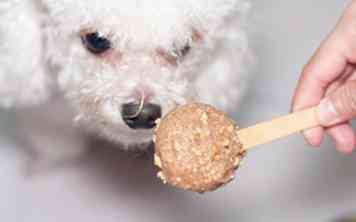 Sådan laver du Peanut Popsicles til hunde 6 trin (med billeder)