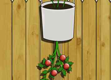 Cómo hacer un plantador de tomate al revés 8 pasos (con fotos)