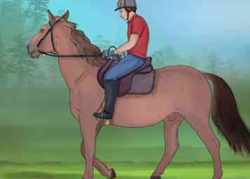 Hvordan man forbereder sig på at ride en hest (med billeder)