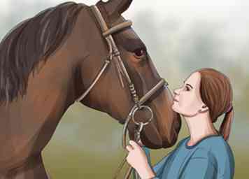 4 måder at forhindre botulisme hos heste