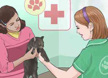Sådan forhindrer du marihuanaforgiftning hos hunde og katte 8 trin