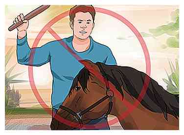 Wie man ein Pferd anlegt (mit Bildern)