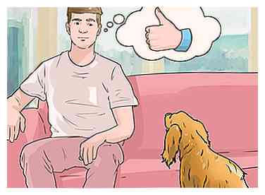 Sådan har du et godt forhold til din hund 10 trin